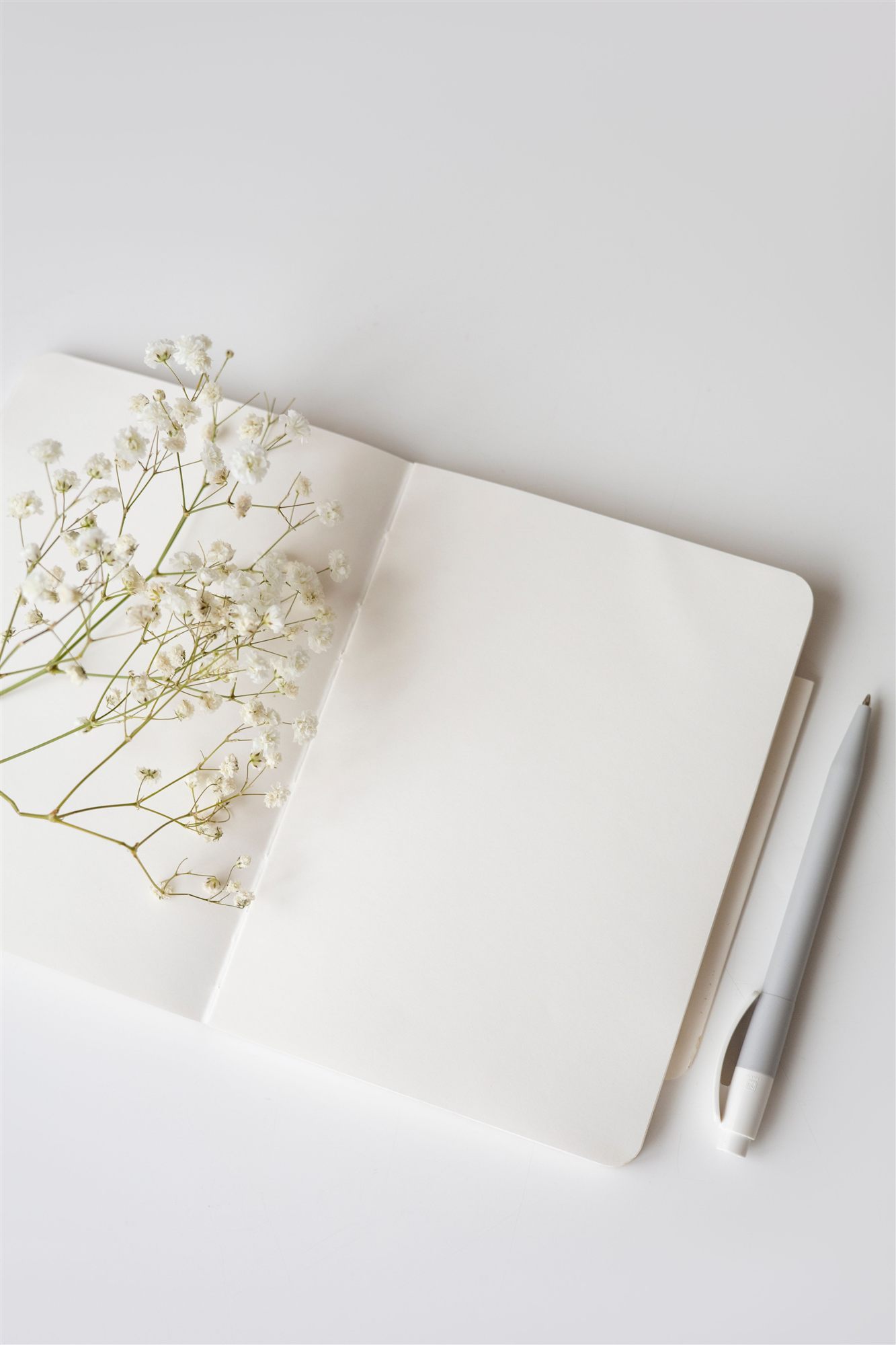 An open notebook in soft light